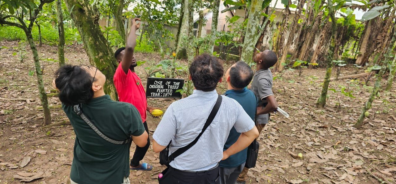 Margliz Foundation field visit to a tree-planting and cocoa conservation site